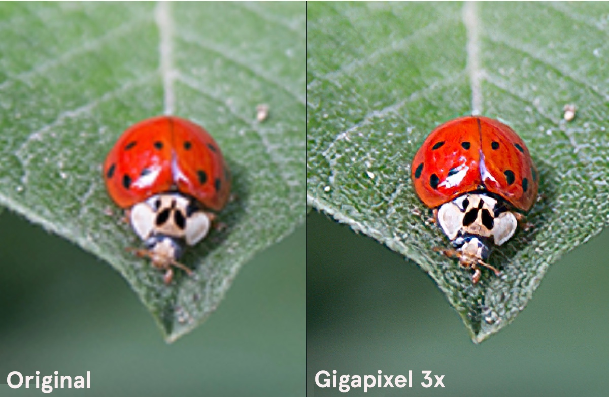 New Topaz Labs Gigapixel AI Sale 43addict