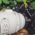 Permalink to The new OM SYSTEM M.Zuiko Digital ED 50-200mm f/2.8 IS Pro lens is delayed